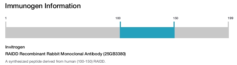 RAIDD Recombinant Rabbit Monoclonal Antibody (25GB3380)