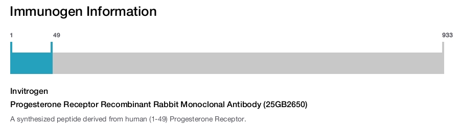 Progesterone Receptor Recombinant Rabbit Monoclonal Antibody (25GB2650)