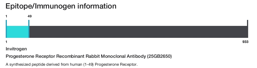 Progesterone Receptor Recombinant Rabbit Monoclonal Antibody (25GB2650)