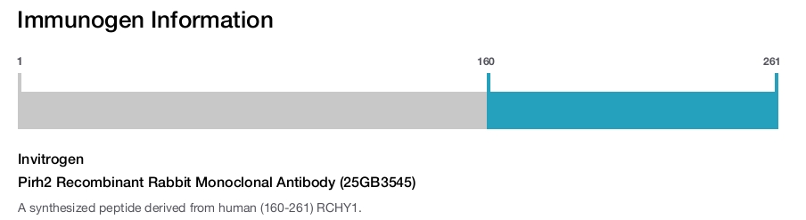 Pirh2 Recombinant Rabbit Monoclonal Antibody (25GB3545)