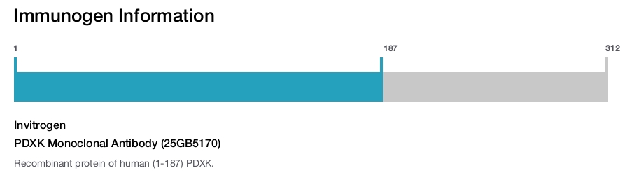 PDXK Monoclonal Antibody (25GB5170)