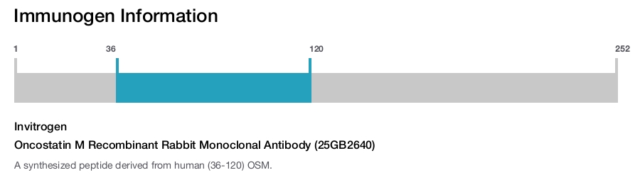 Oncostatin M Recombinant Rabbit Monoclonal Antibody (25GB2640)
