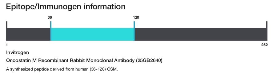Oncostatin M Recombinant Rabbit Monoclonal Antibody (25GB2640)