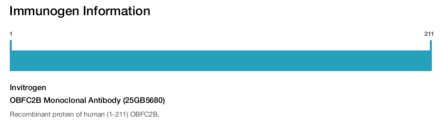 OBFC2B Monoclonal Antibody (25GB5680)