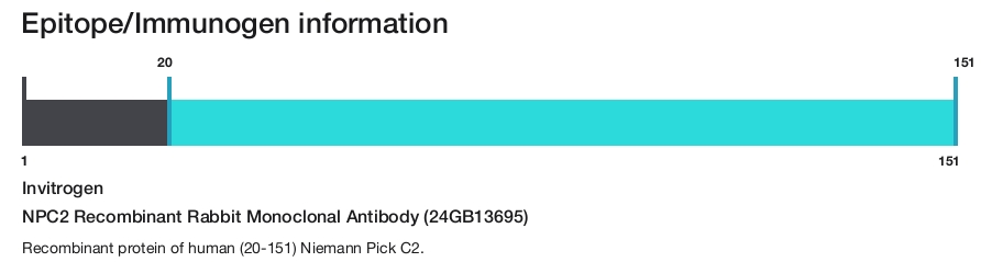 NPC2 Recombinant Rabbit Monoclonal Antibody (24GB13695)
