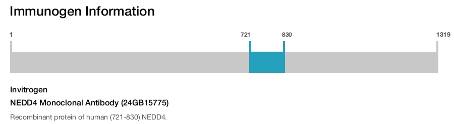 NEDD4 Monoclonal Antibody (24GB15775)