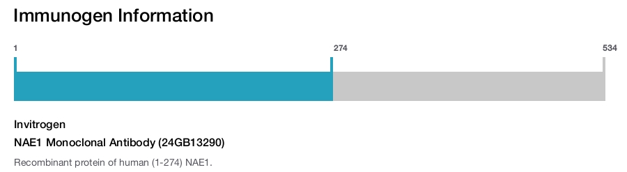 NAE1 Monoclonal Antibody (24GB13290)