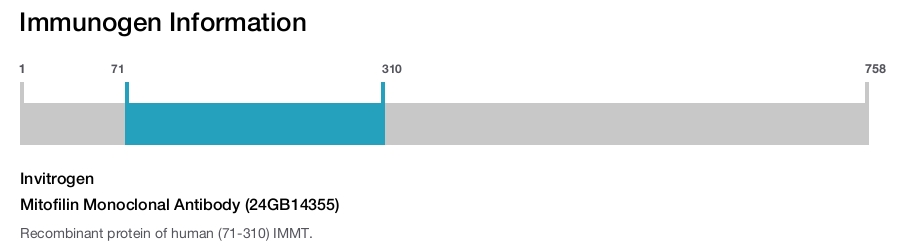 Mitofilin Monoclonal Antibody (24GB14355)
