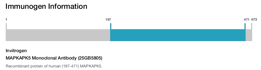MAPKAPK5 Monoclonal Antibody (25GB5805)