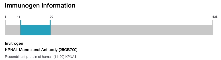 KPNA1 Monoclonal Antibody (25GB700)