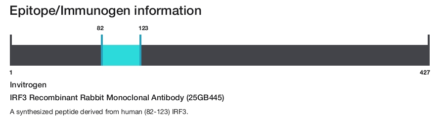 IRF3 Recombinant Rabbit Monoclonal Antibody (25GB445)