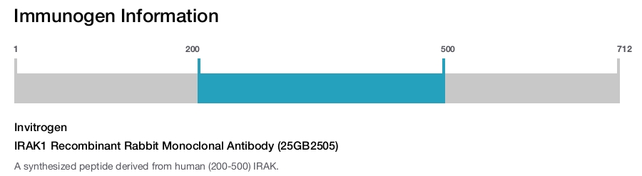 IRAK1 Recombinant Rabbit Monoclonal Antibody (25GB2505)