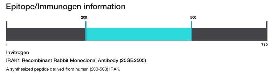 IRAK1 Recombinant Rabbit Monoclonal Antibody (25GB2505)