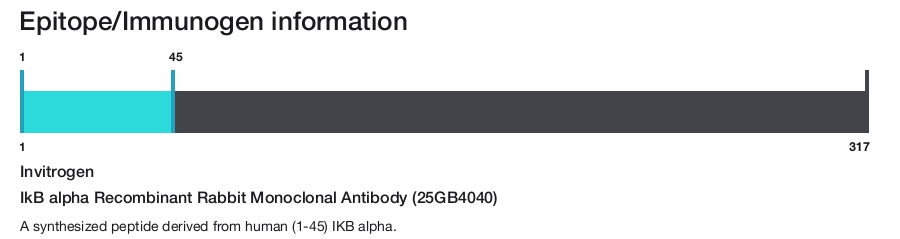 IkB alpha Recombinant Rabbit Monoclonal Antibody (25GB4040)