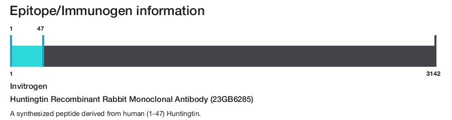 Huntingtin Recombinant Rabbit Monoclonal Antibody (23GB6285)