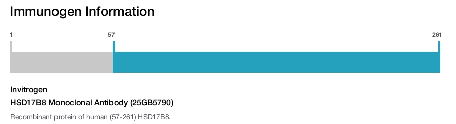 HSD17B8 Monoclonal Antibody (25GB5790)