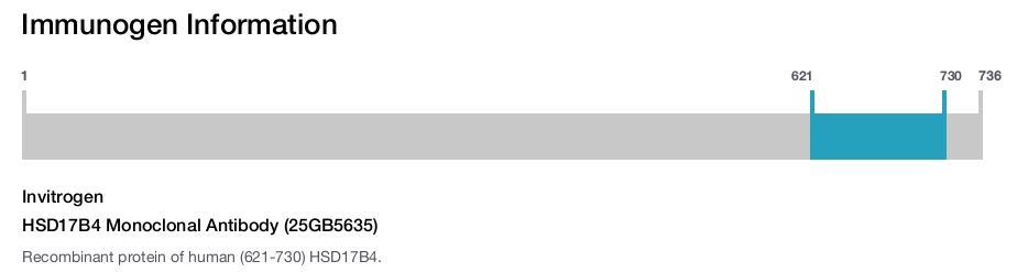 HSD17B4 Monoclonal Antibody (25GB5635)