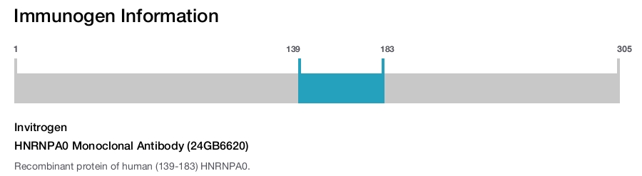 HNRNPA0 Monoclonal Antibody (24GB6620)