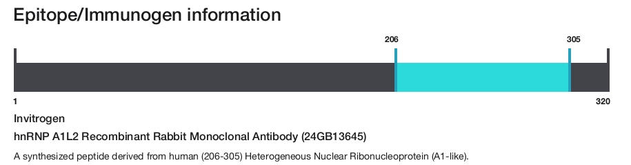 hnRNP A1L2 Recombinant Rabbit Monoclonal Antibody (24GB13645)