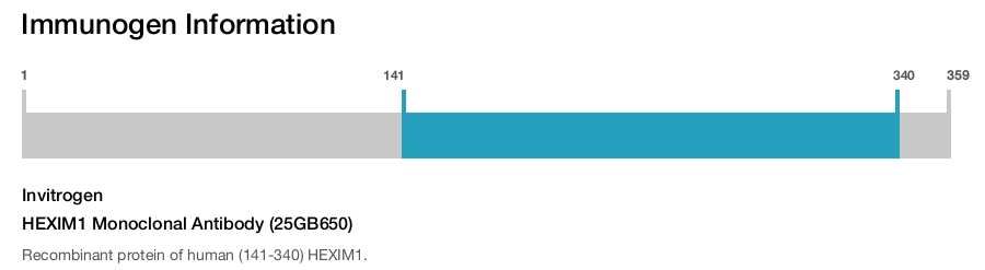 HEXIM1 Monoclonal Antibody (25GB650)