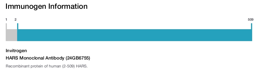 HARS Monoclonal Antibody (24GB6755)