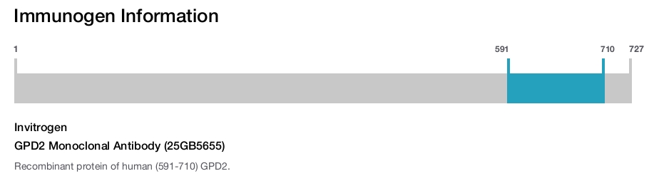 GPD2 Monoclonal Antibody (25GB5655)