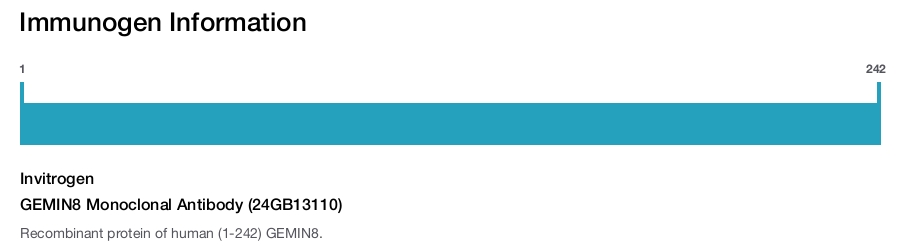 GEMIN8 Monoclonal Antibody (24GB13110)