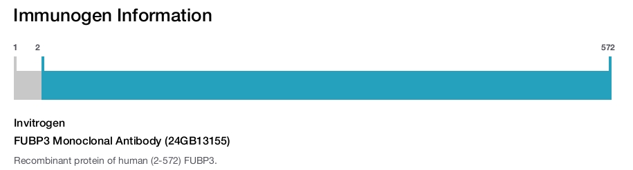 FUBP3 Monoclonal Antibody (24GB13155)