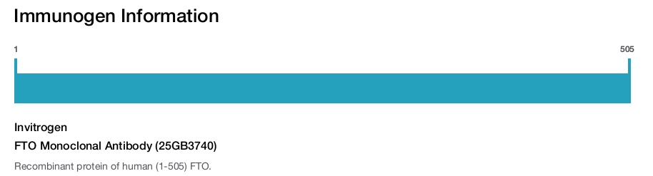 FTO Monoclonal Antibody (25GB3740)