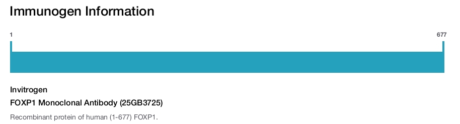 FOXP1 Monoclonal Antibody (25GB3725)