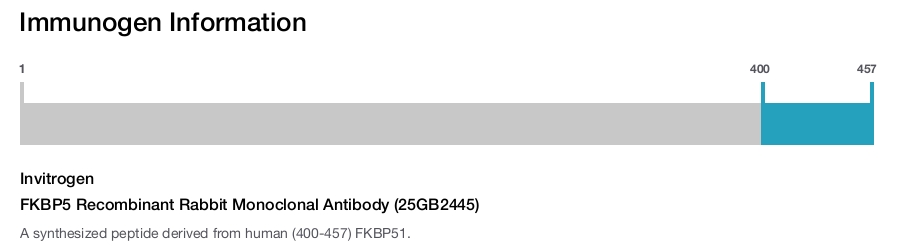 FKBP5 Recombinant Rabbit Monoclonal Antibody (25GB2445)