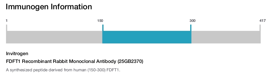 FDFT1 Recombinant Rabbit Monoclonal Antibody (25GB2370)