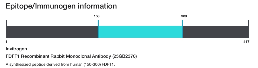 FDFT1 Recombinant Rabbit Monoclonal Antibody (25GB2370)