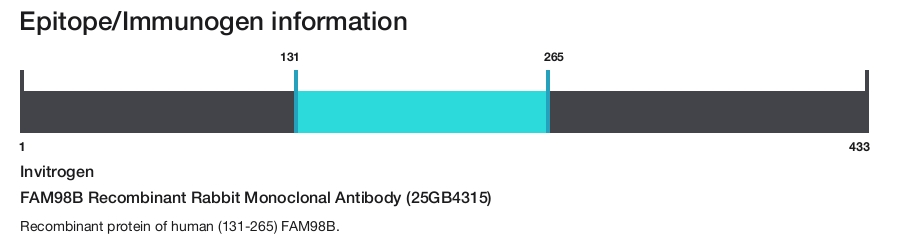FAM98B Recombinant Rabbit Monoclonal Antibody (25GB4315)