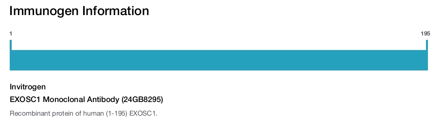 EXOSC1 Monoclonal Antibody (24GB8295)