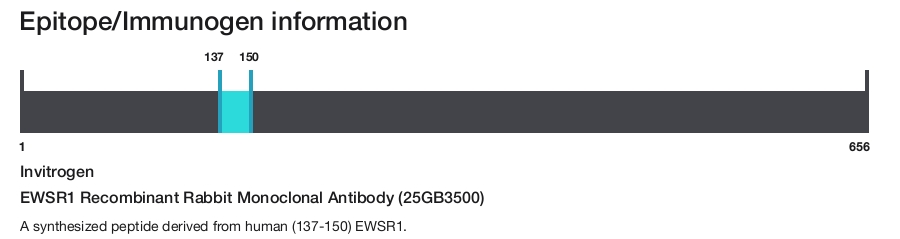 EWSR1 Recombinant Rabbit Monoclonal Antibody (25GB3500)