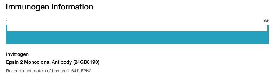 Epsin 2 Monoclonal Antibody (24GB8190)