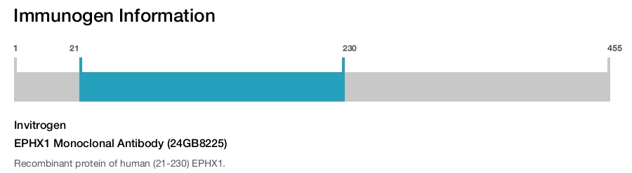 EPHX1 Monoclonal Antibody (24GB8225)
