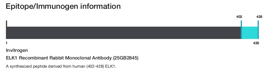 ELK1 Recombinant Rabbit Monoclonal Antibody (25GB2845)