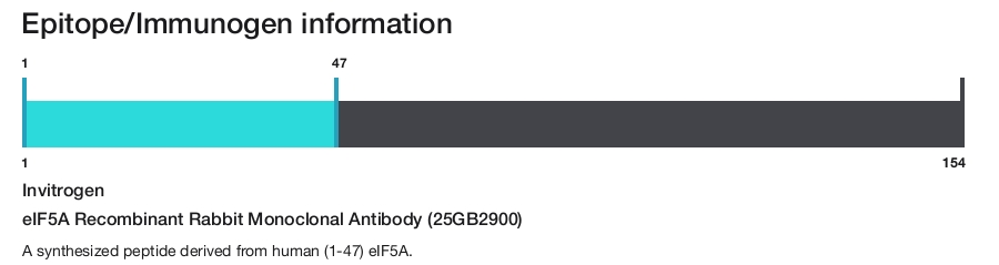 eIF5A Recombinant Rabbit Monoclonal Antibody (25GB2900)