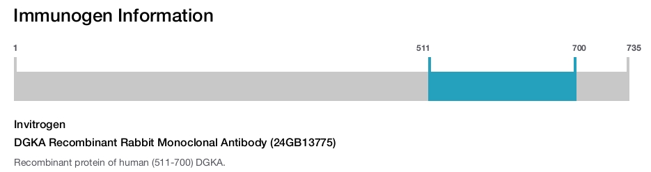 DGKA Recombinant Rabbit Monoclonal Antibody (24GB13775)