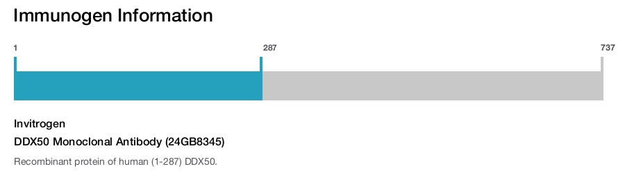 DDX50 Monoclonal Antibody (24GB8345)