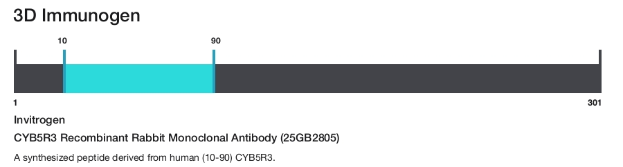 CYB5R3 Recombinant Rabbit Monoclonal Antibody (25GB2805)