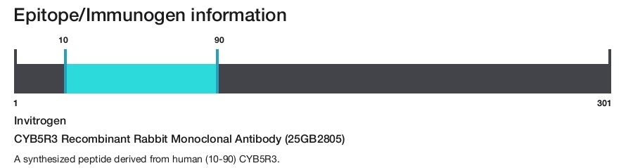 CYB5R3 Recombinant Rabbit Monoclonal Antibody (25GB2805)