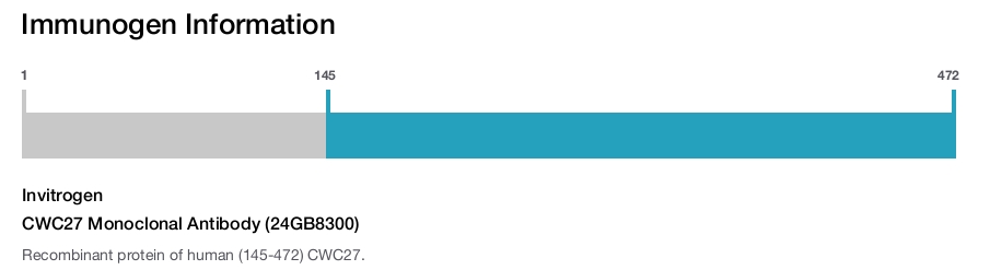 CWC27 Monoclonal Antibody (24GB8300)