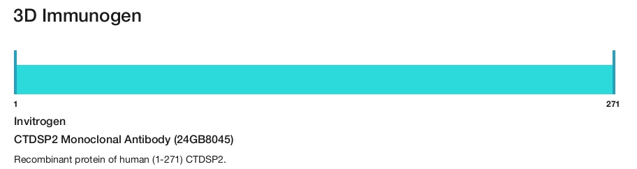 CTDSP2 Monoclonal Antibody (24GB8045)