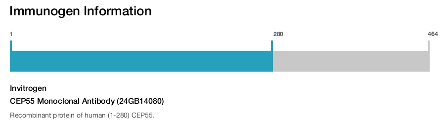 CEP55 Monoclonal Antibody (24GB14080)