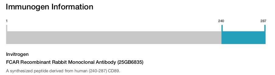 FCAR Recombinant Rabbit Monoclonal Antibody (25GB6835)