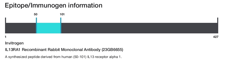 IL13RA1 Recombinant Rabbit Monoclonal Antibody (23GB6655)