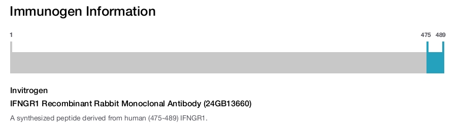 IFNGR1 Recombinant Rabbit Monoclonal Antibody (24GB13660)